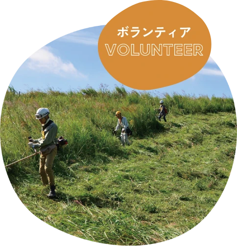 Volunteer
