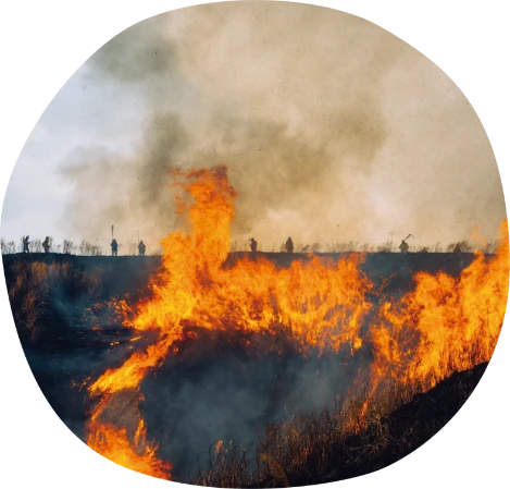Controlled burning scene