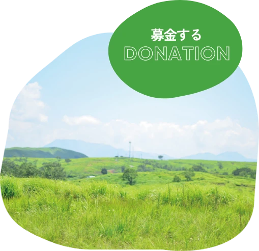 Donate