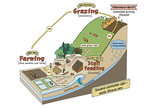 Traditional land use illustration