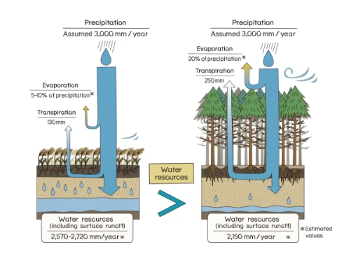 Water conservation characteristics illustration and graph