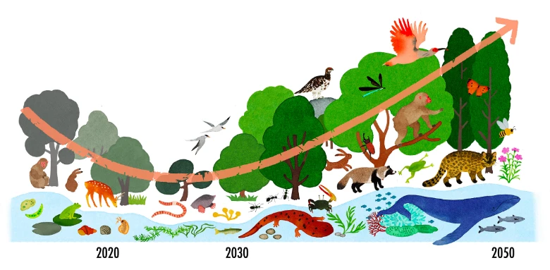 Nature positive graph