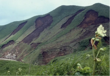 July 1990 heavy rain disaster scene