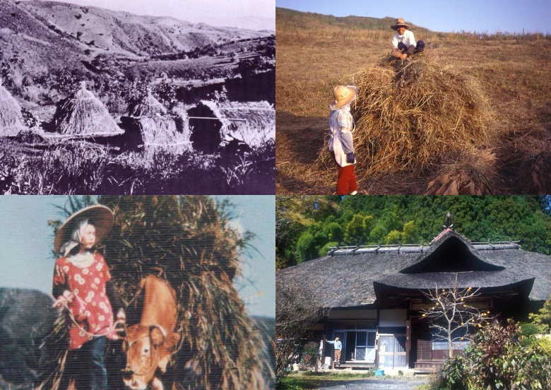 Grassland use photos