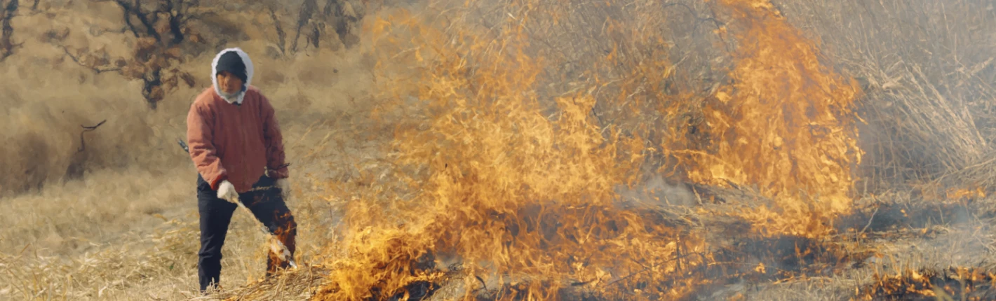 Controlled burning scene