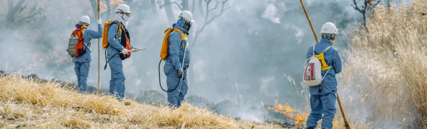 Controlled burning volunteer scene